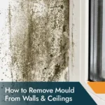 Professional mould removal from walls and tiled areas